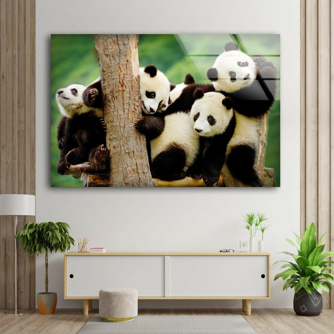 Baby Panda Glass Wall Art stained glass wall art, stained glass wall decor