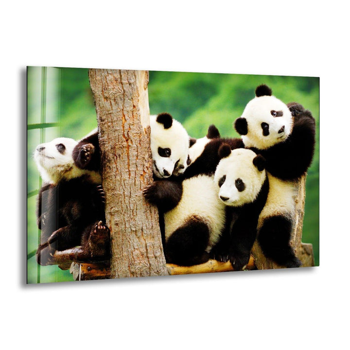 Baby Panda Glass Wall Art             glass wall decor, glass wall art decor