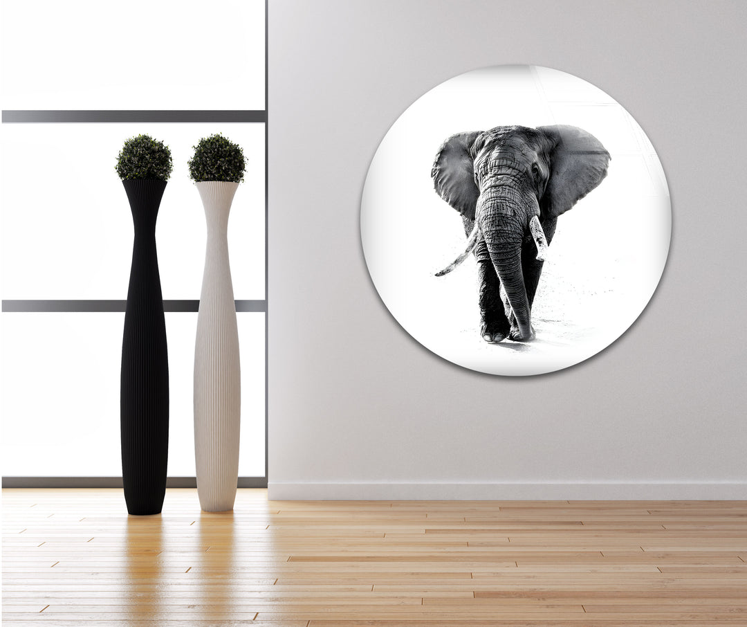 Black And White Majestic Elephant Glass Wall Art