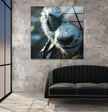 Eyepatch Panda Glass Wall Art large glass photo prints, glass wall photos