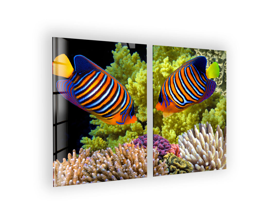 Royal Angelfish Undersea Landscape Glass Wall Art, art glass wall art, glass wall art pictures