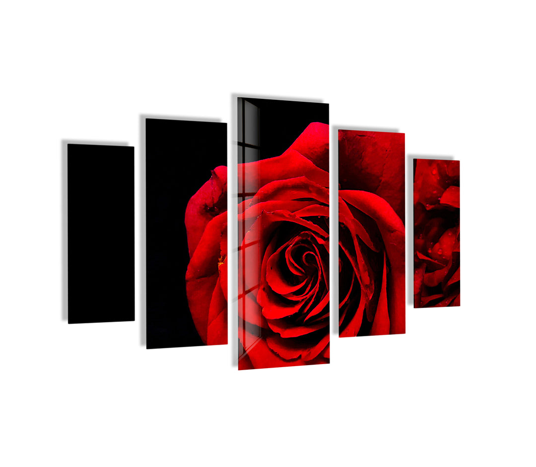 Red Rose Close-Up Glass Wall Art, print picture on glass, Tempered Glass Wall Art