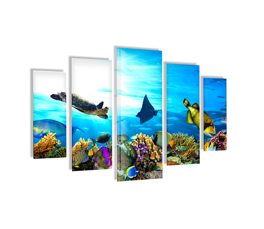 Ocean Life Turtles & Fishes Glass Wall Art, Glass Printing Wall Art, Print photos on glass