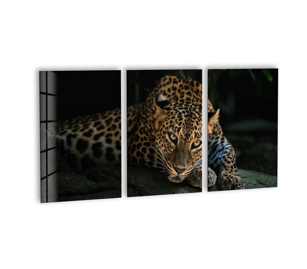 Wild Leopard Glass Wall Art, glass pictures for Wall, glass prints wall art