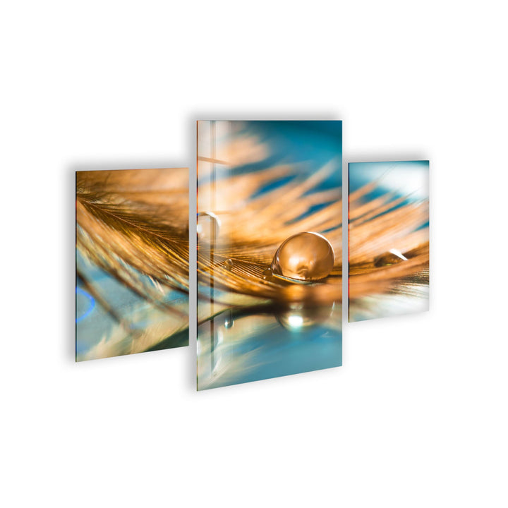 Drop On Feather Glass Wall Art, custom glass photo prints, large glass prints