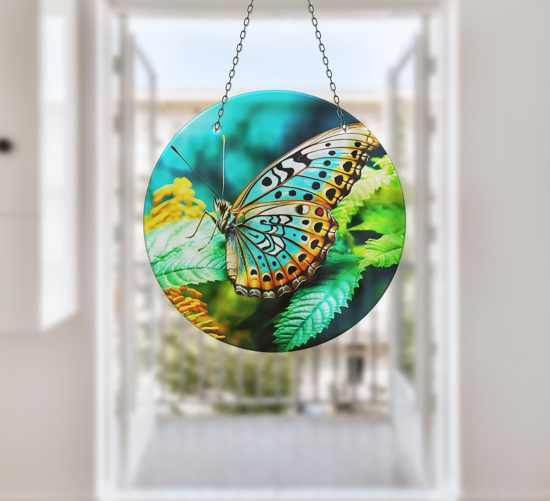 Blue Butterfly Suncatcher Decor Colorful Sun | Myphotostation
