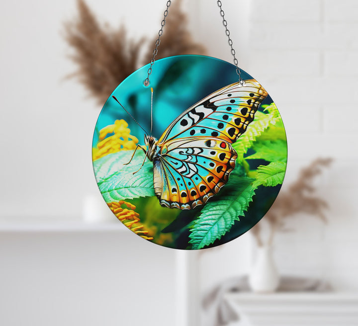 Blue Butterfly Suncatcher Decor Sun Catchers | Myphotostation
