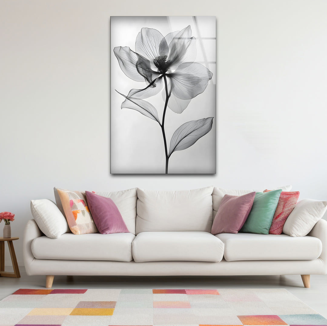 Unique black and white wall decor showcasing a minimalist photograph of a flower with high contrast
