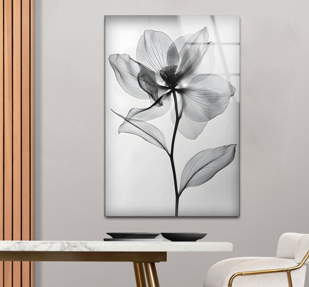 Sophisticated black and white framed art capturing the intricate petals of a flower in stunning detail
