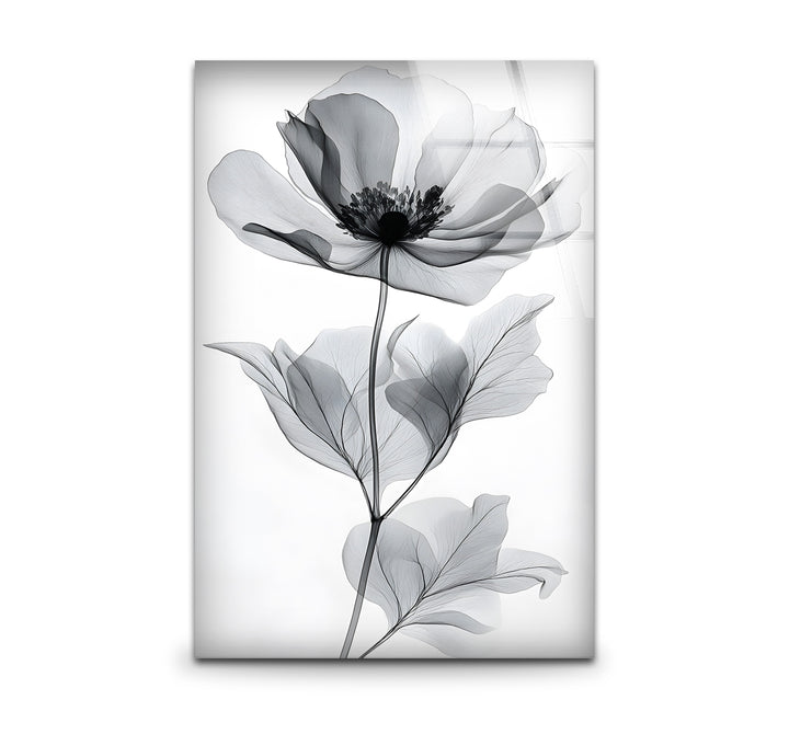 Black and white art featuring a delicate watercolor flower with soft, flowing textures
