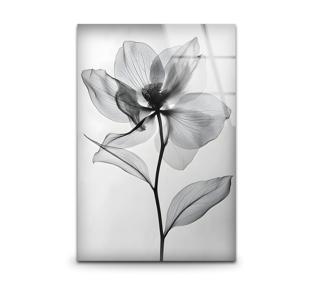 Black and white art featuring an elegant photograph of a flower with intricate details
