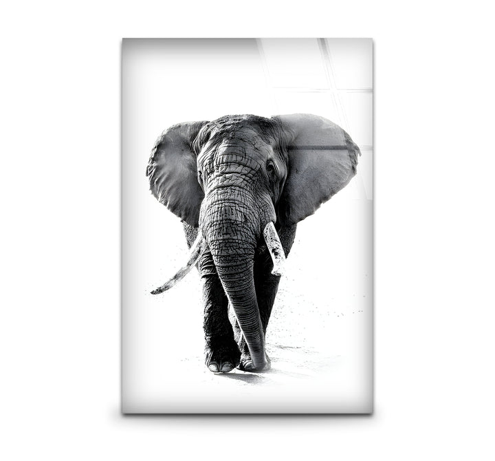 Elegant black and white wall art featuring a majestic elephant with lifelike details.