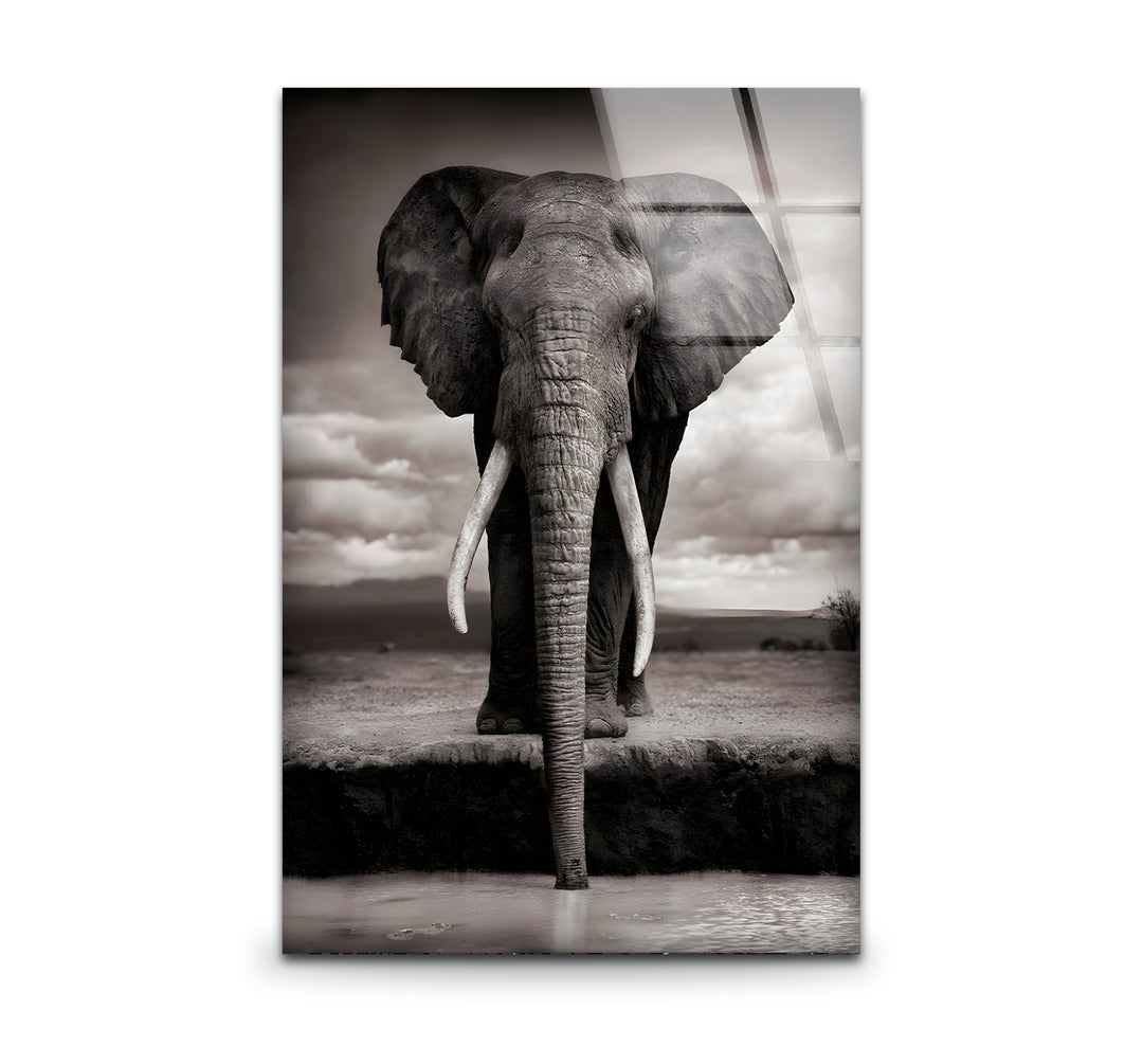 Elegant black and white wall art featuring a majestic elephant with intricate details.