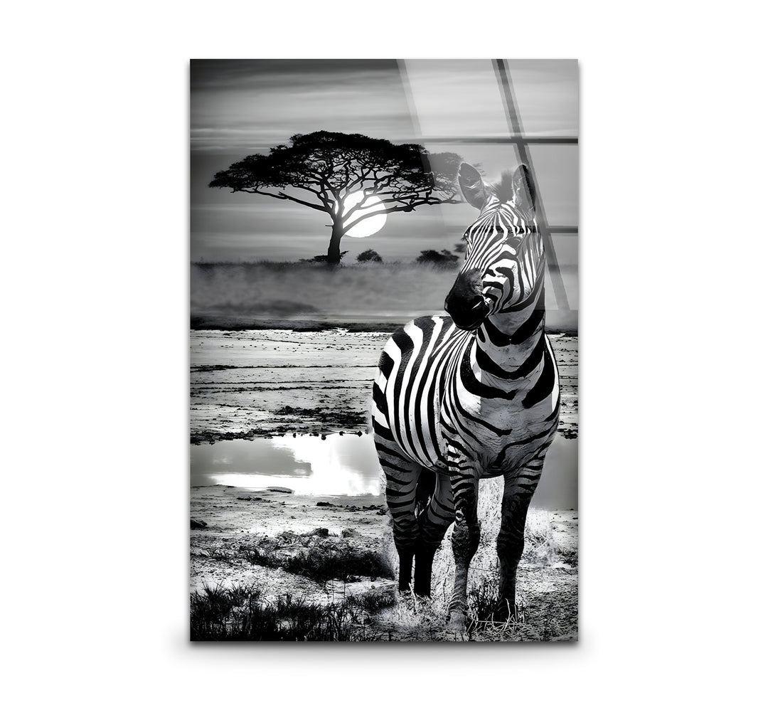 Black and white art featuring a stunning zebra print with intricate stripe patterns
