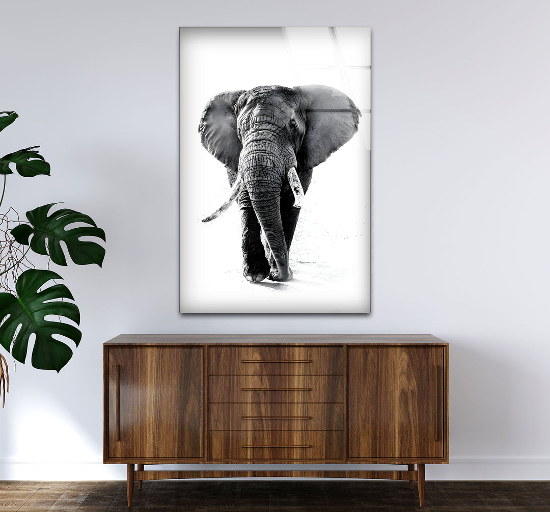 Modern black and white wall decor highlighting the grandeur of a majestic elephant in bold contrasts.