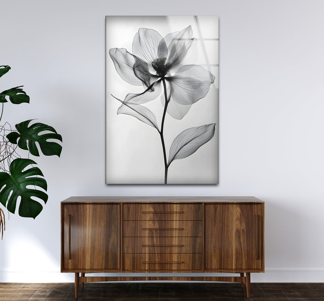 Captivating black and white wall decor featuring a timeless photograph of a blooming flower
