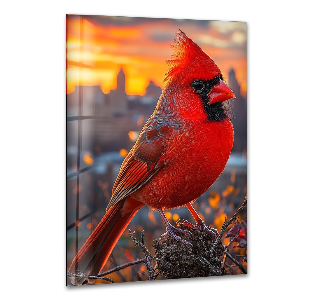 Red Goldfinch Glass Wall Art custom glass pictures, glass art prints
