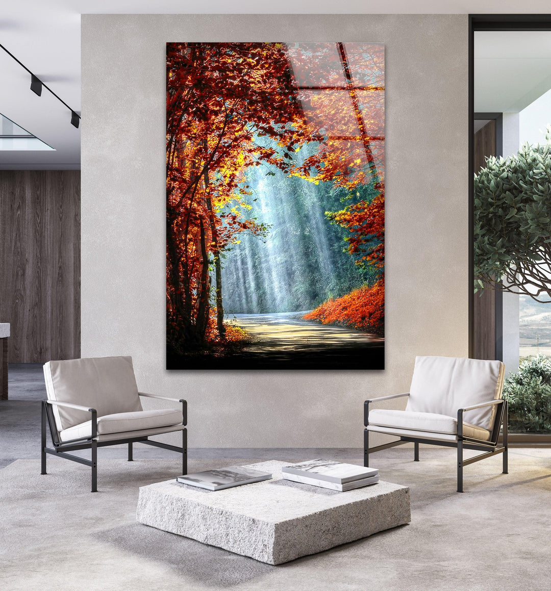 Lights in The Trees Glass Wall Art large glass photo prints, glass wall photos