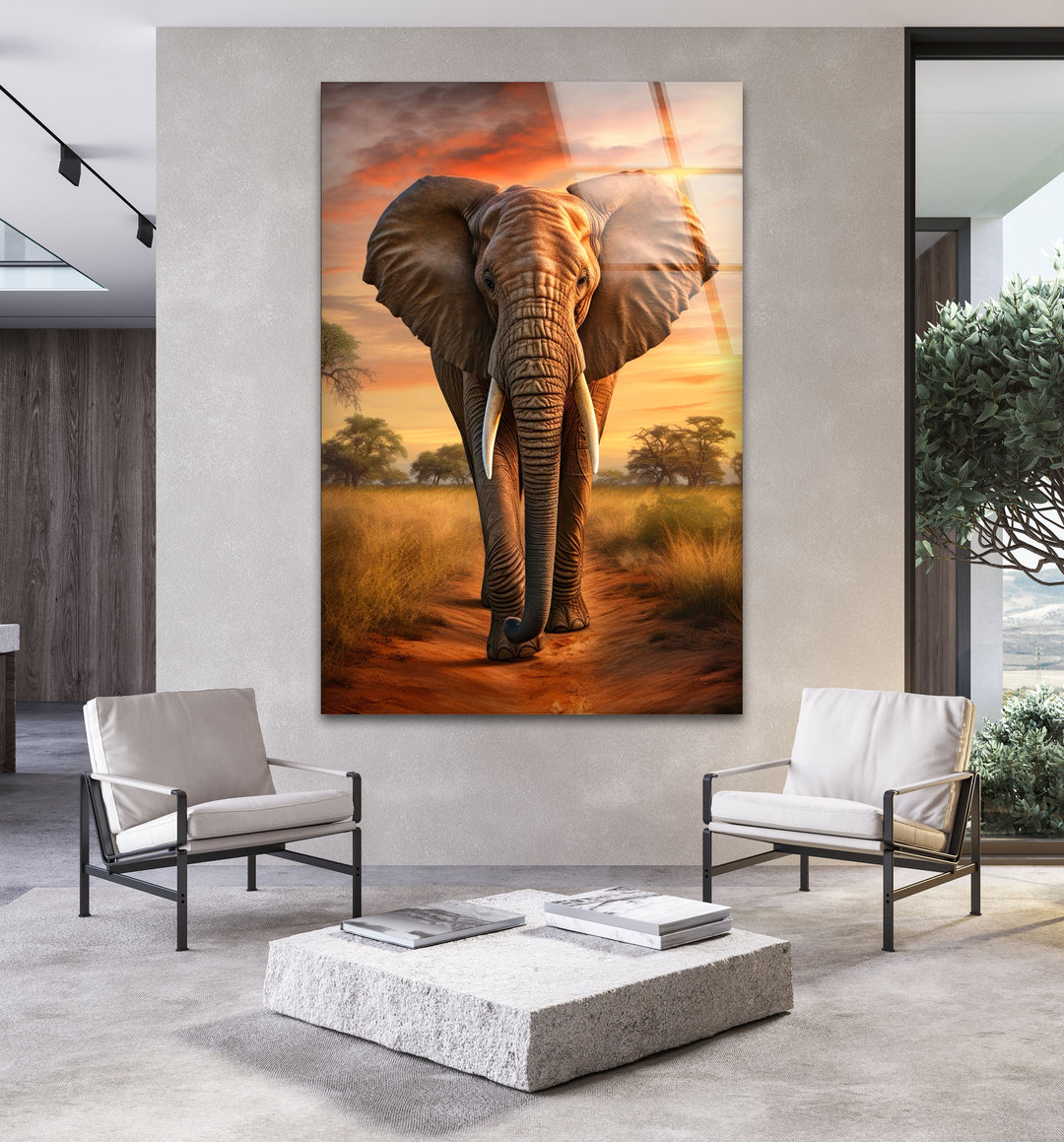 African Elephant Glass Wall Art large glass photo prints, glass wall photos