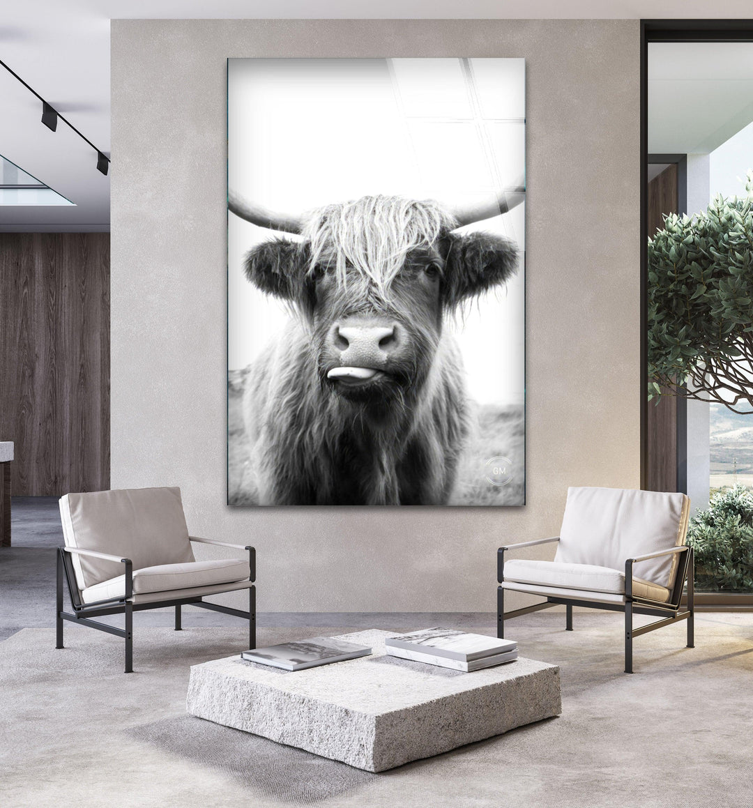 Highlander Cow Glass Wall Art picture on glass wall art, photos printed on glass