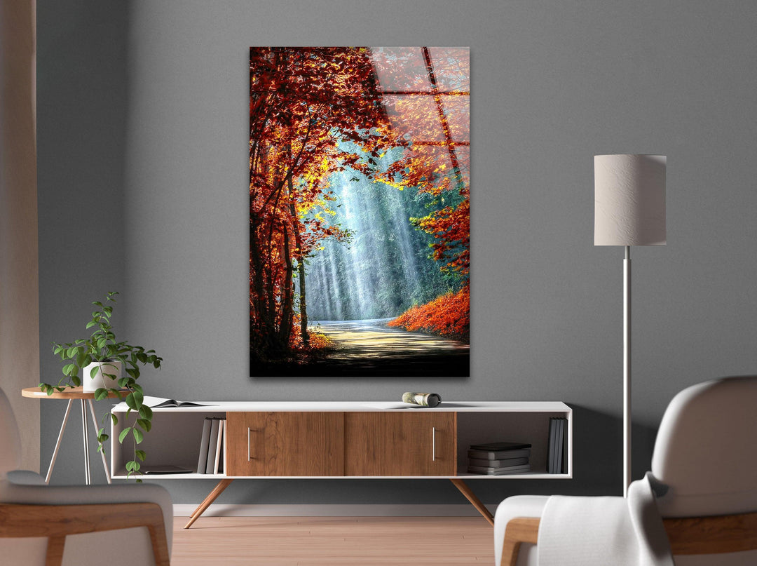 Lights in The Trees Glass Wall Art photo print on glass, prints on glass wall art