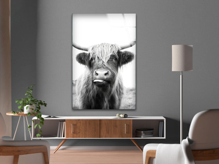 Highlander Cow Glass Wall Art custom glass photo prints, large glass prints