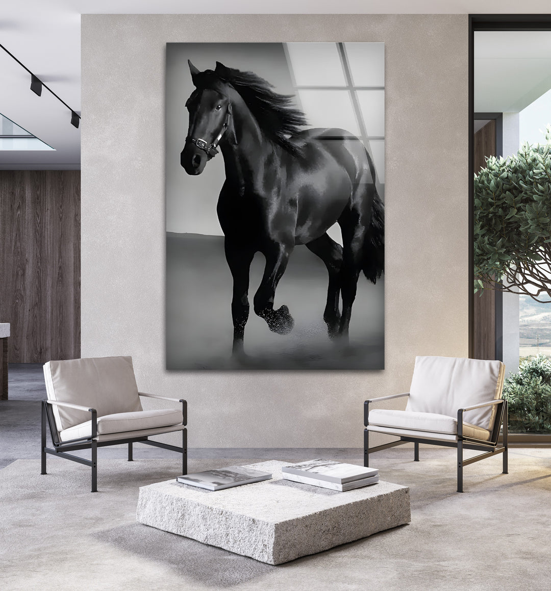 Majestic Black Stallion – Black & White Horse Photography Wall Art