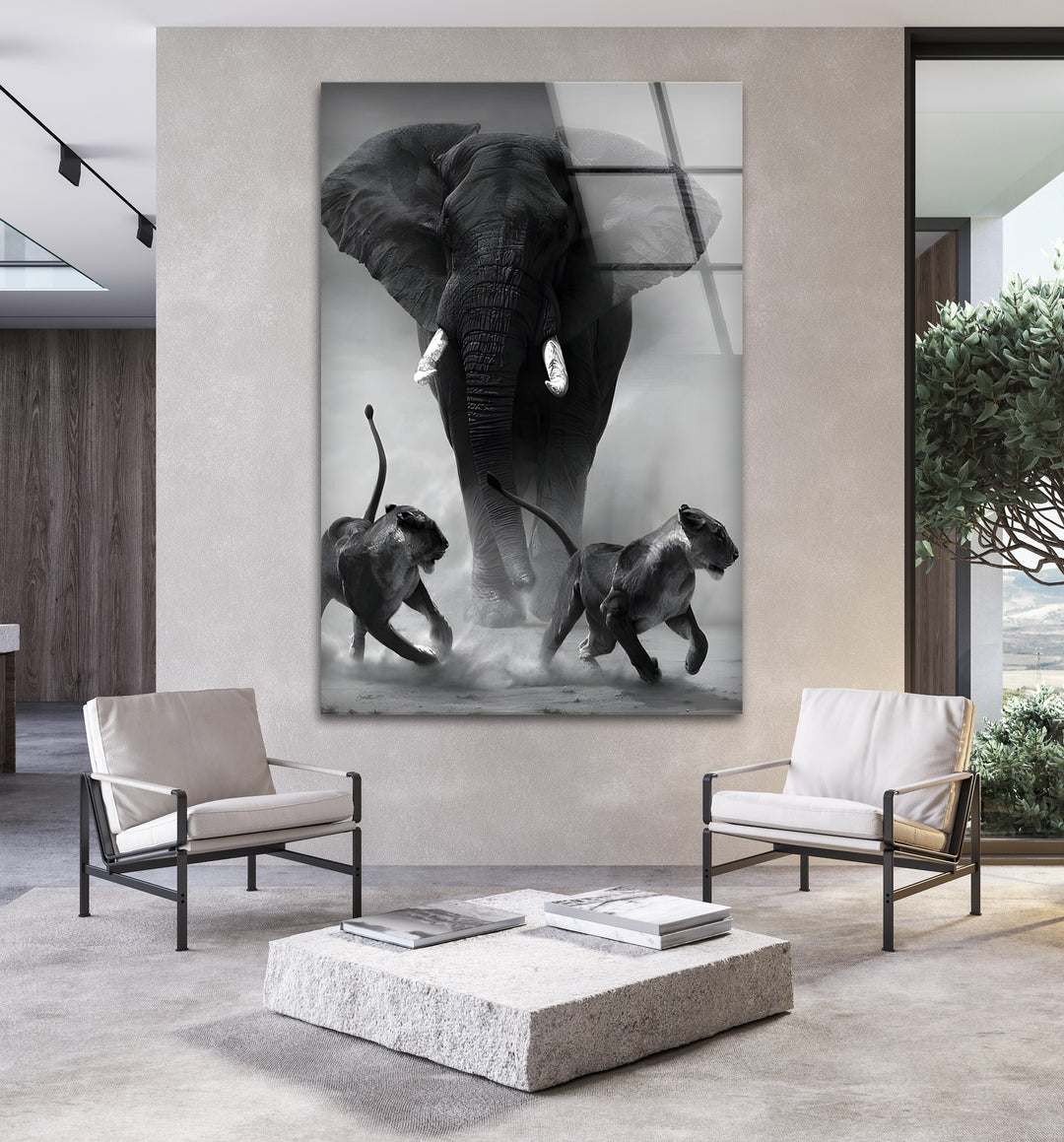 Dominance in the Wild - Elephant & Lions Black and White Glass Art
