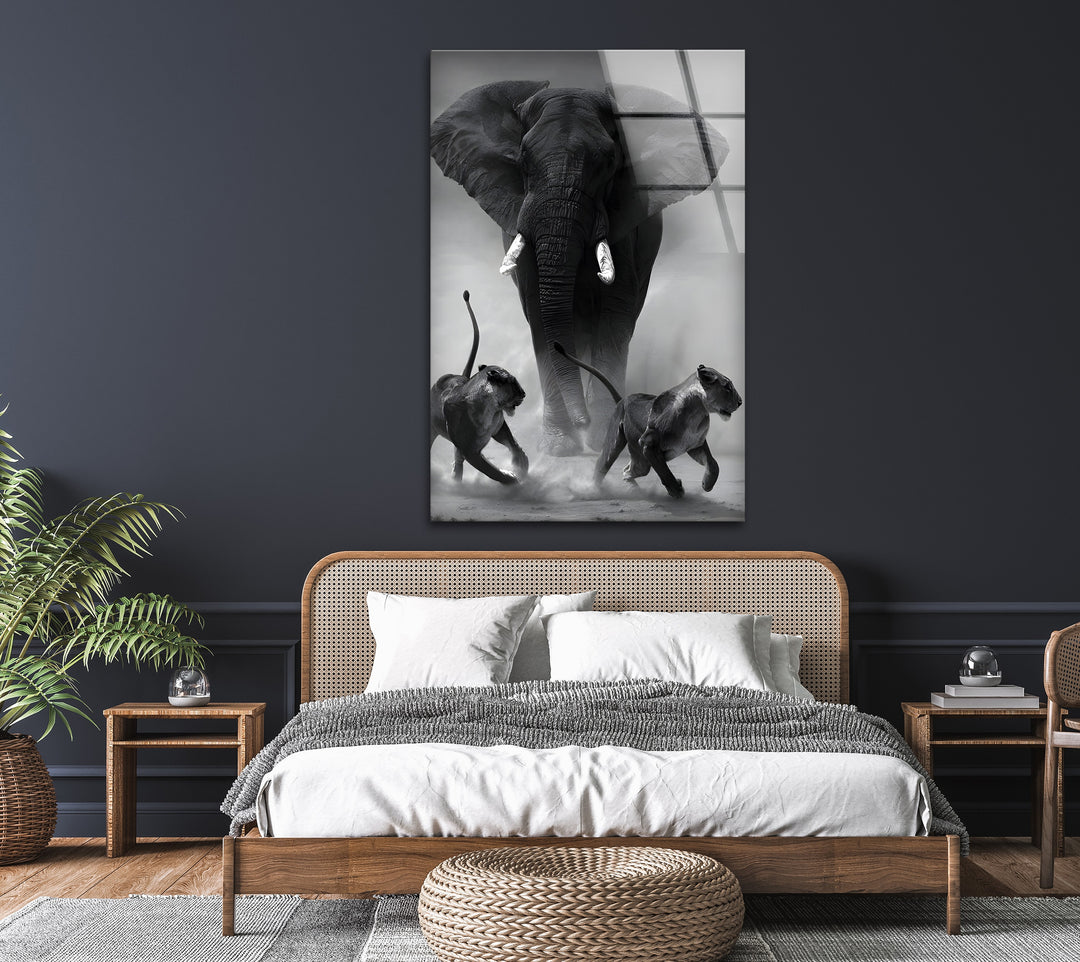 Lions and Elephant Showdown - Powerful Black and White Glass Wall Art
