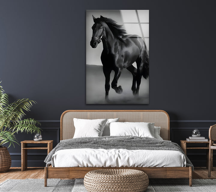 Majestic Black Stallion – Black & White Horse Photography Wall Art