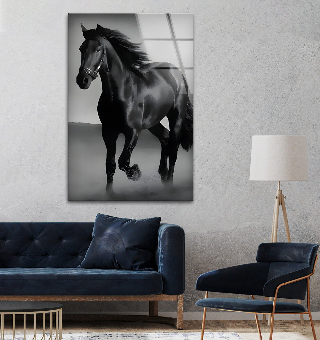 Majestic Black Stallion – Black & White Horse Photography Wall Art