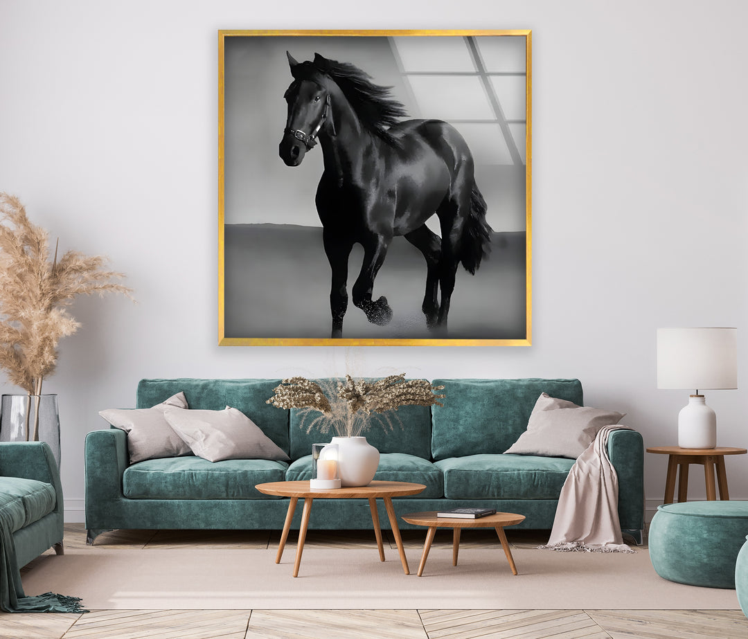 Majestic Black Stallion – Black & White Horse Photography Wall Art