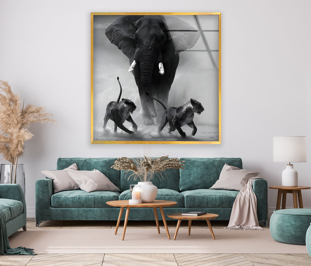 African Wildlife Battle - Stunning Black and White Glass Wall Decor
