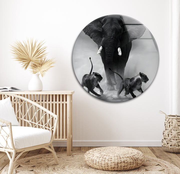 Fierce Jungle Scene - Elephant and Lions Black and White Glass Art
