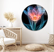 Colorful Xray Flower Tempered Glass Wall Art - MyPhotoStation