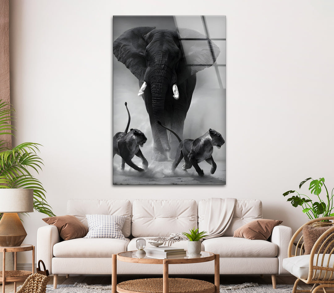 Elephant vs. Lions - Bold Black and White Glass Wall Artwork
