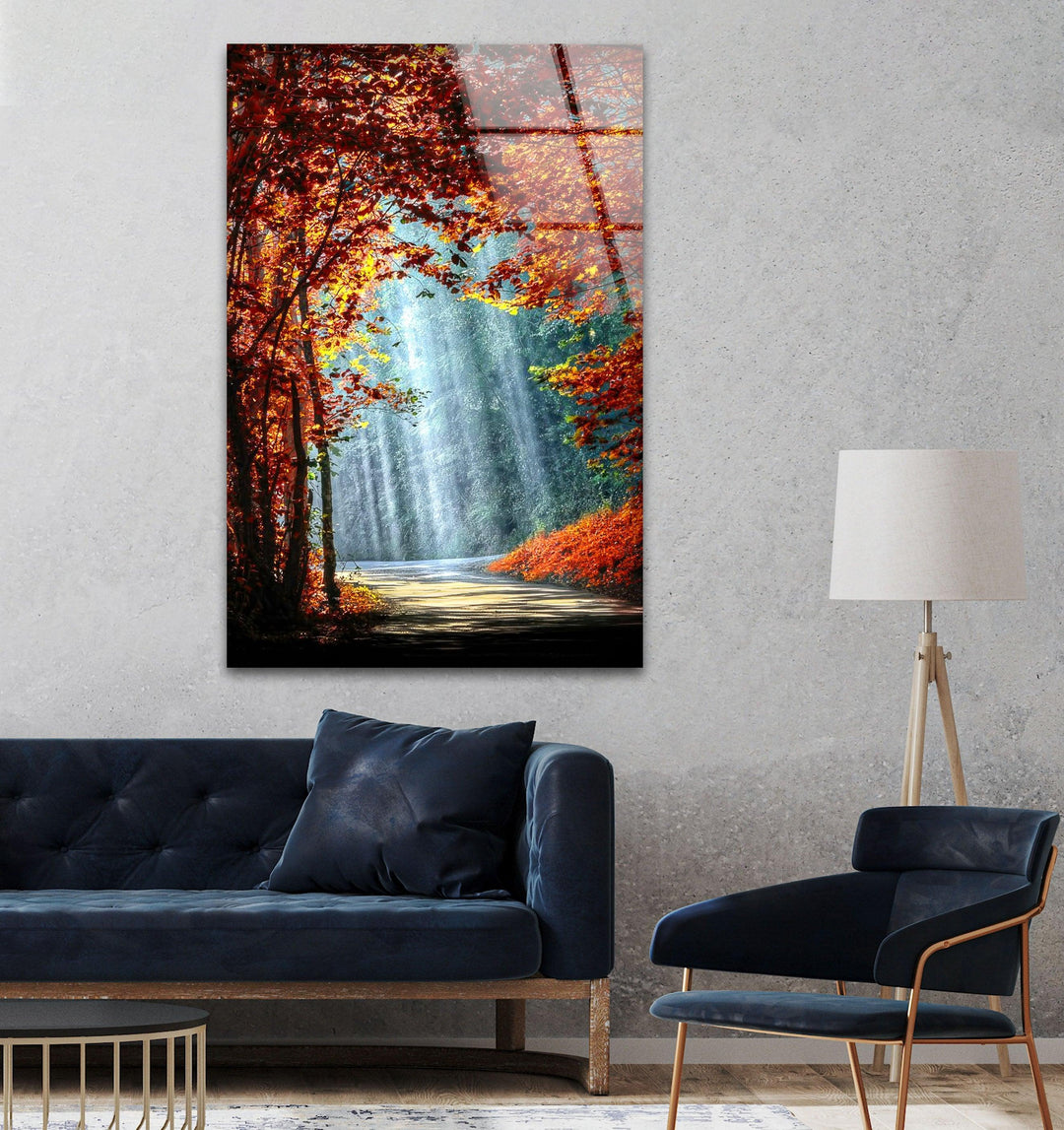 Lights in The Trees Glass Wall Art print picture on glass, Tempered Glass Wall Art