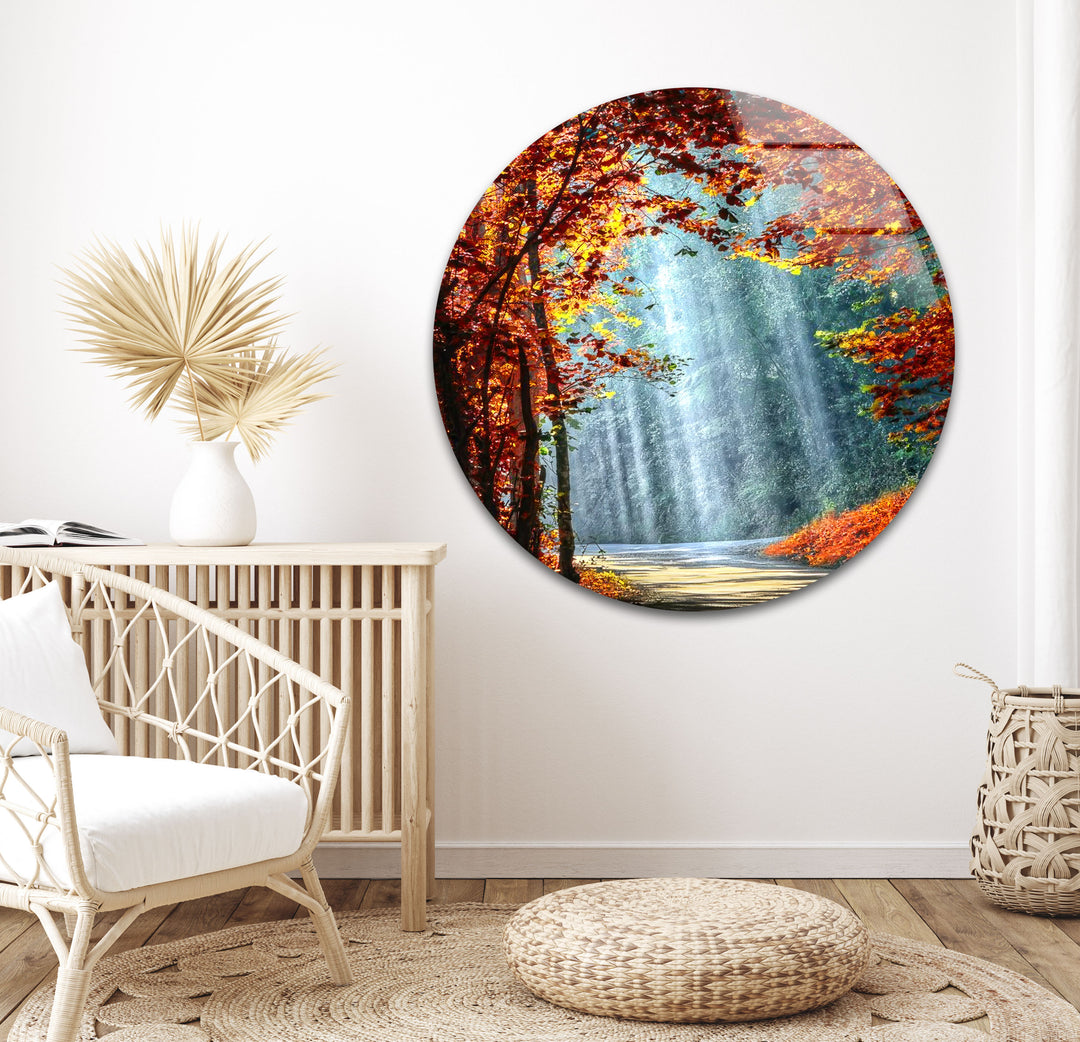 Lights in The Trees Glass Wall Art picture on glass wall art, photos printed on glass