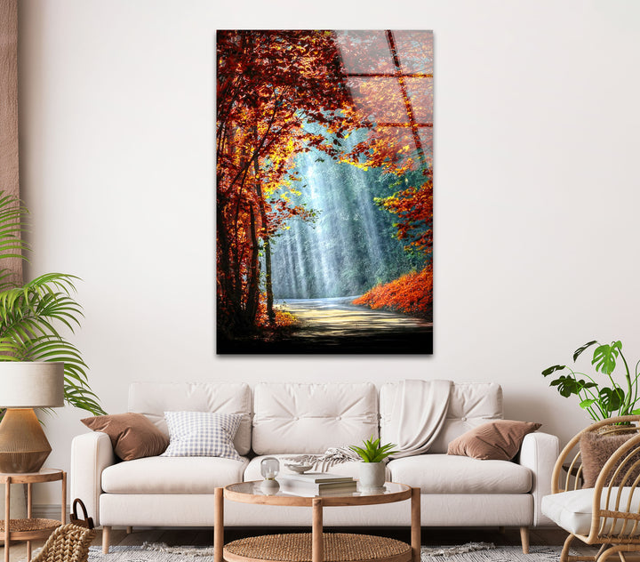 Lights in The Trees Glass Wall Art custom glass pictures, glass art prints