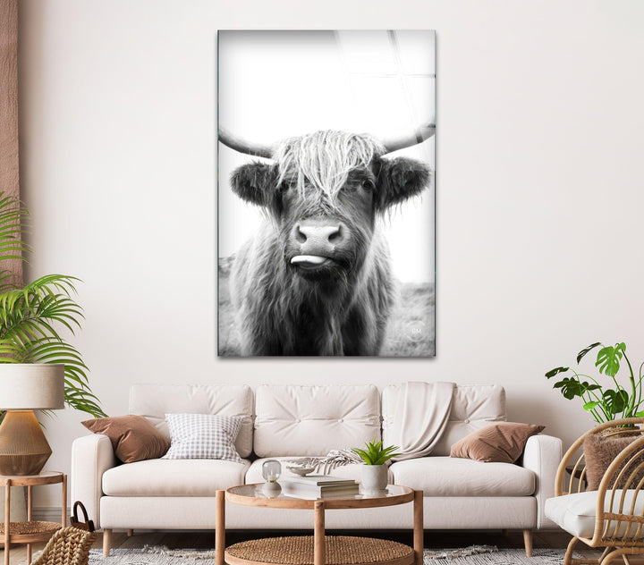 Highlander Cow Glass Wall Art print picture on glass,Tempered Glass Wall Art