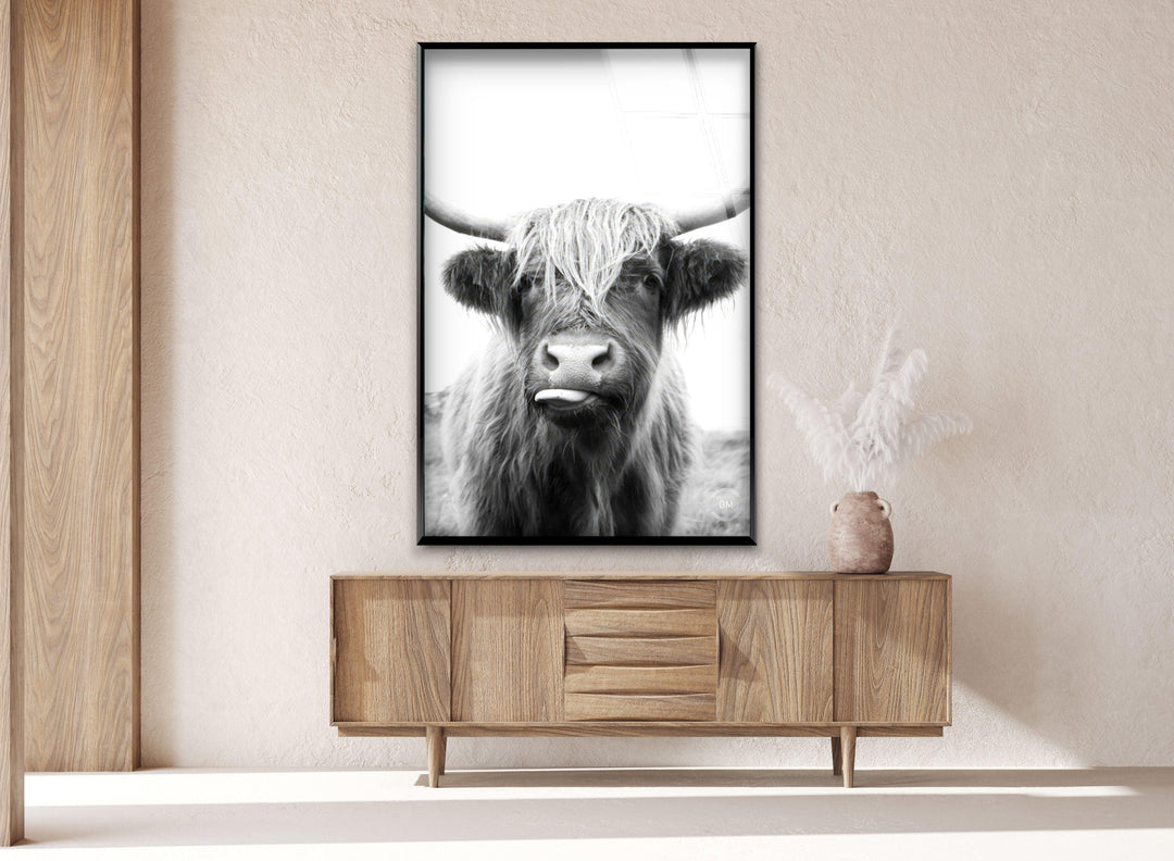 Highlander Cow Glass Wall Art print on glass, glass printed photos