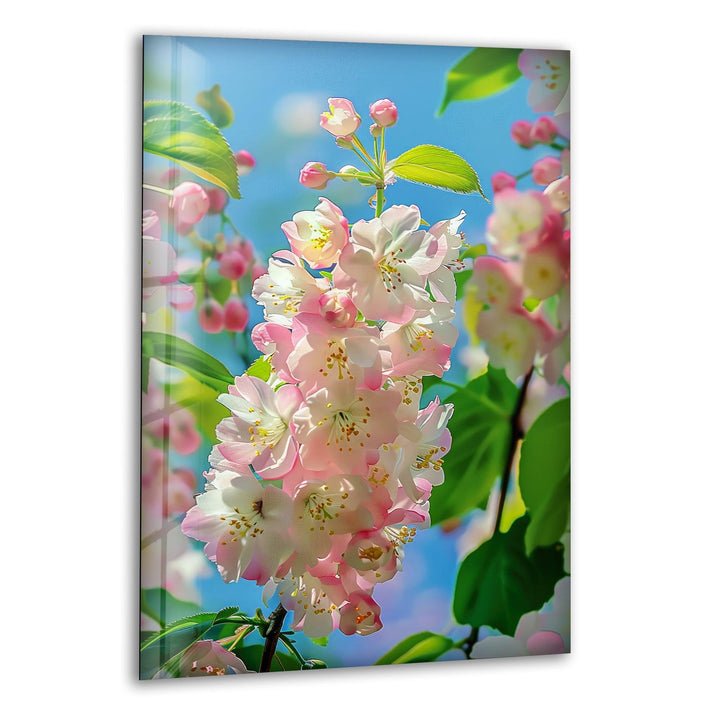 Cherry Blossoms Glass Wall Art, print on glass, glass printed photos