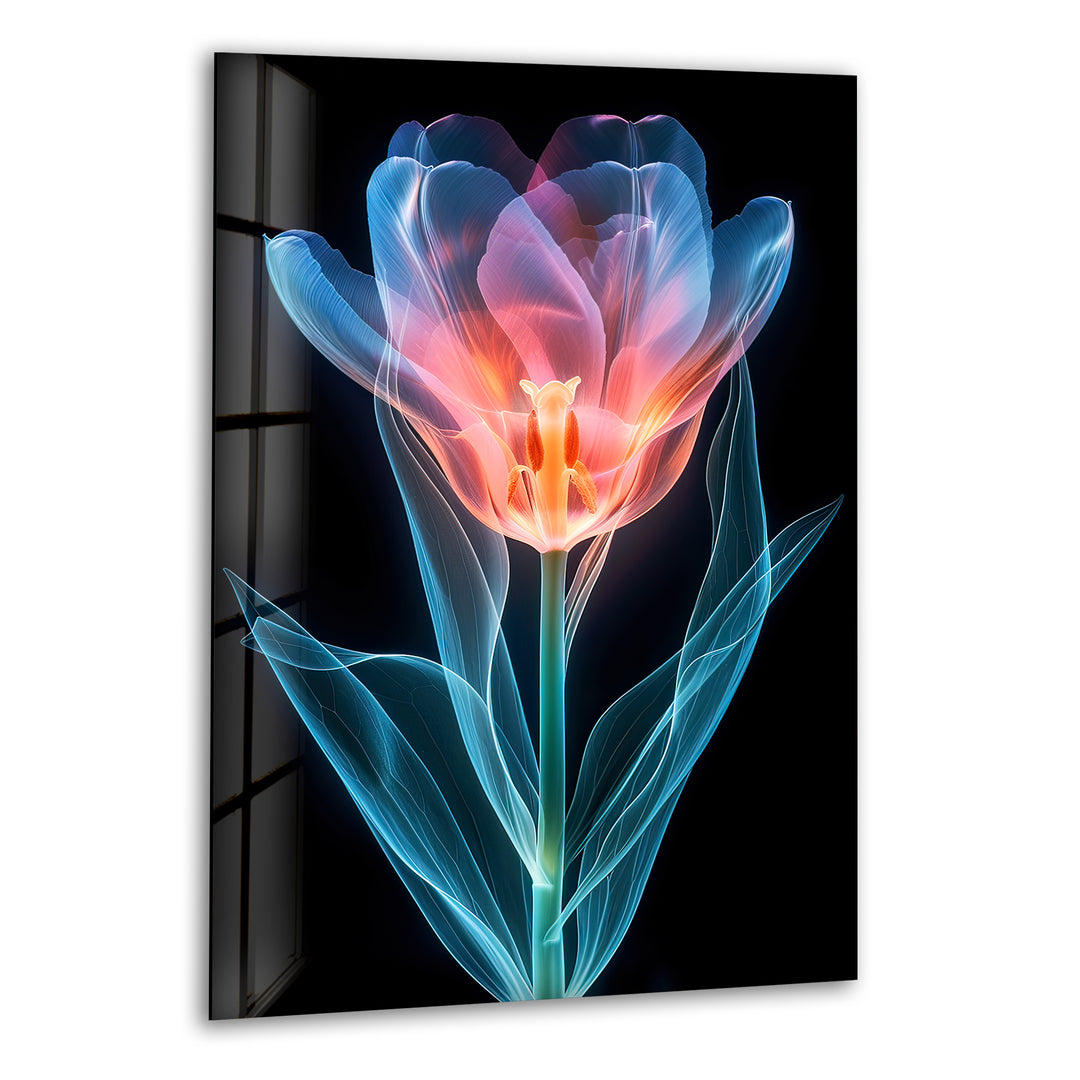 Colorful Xray Flower Glass Wall Art, print on glass, glass printed photos