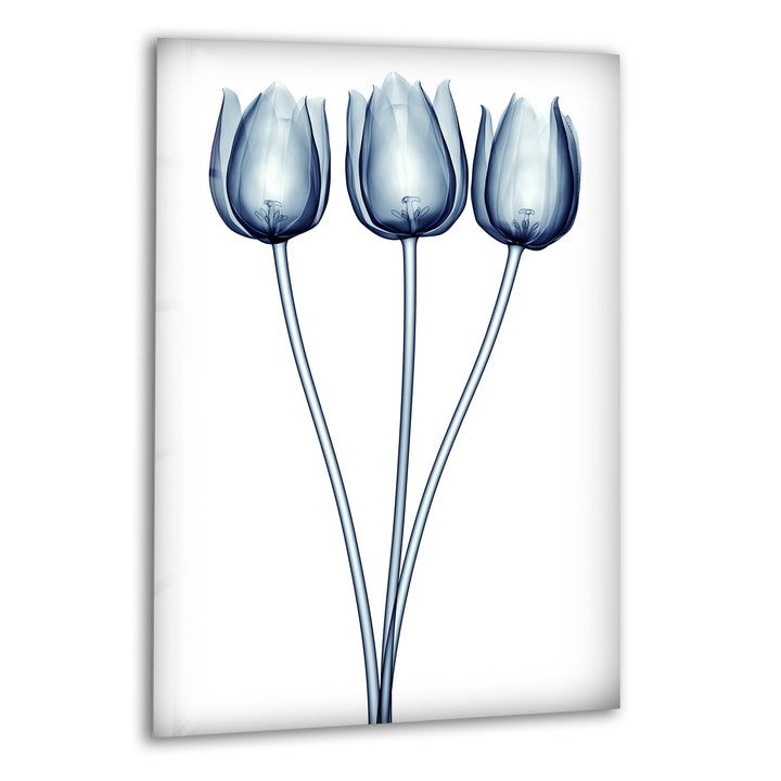 Xray Blue Tulip Glass Wall Art, print picture on glass, Tempered Glass Wall Art