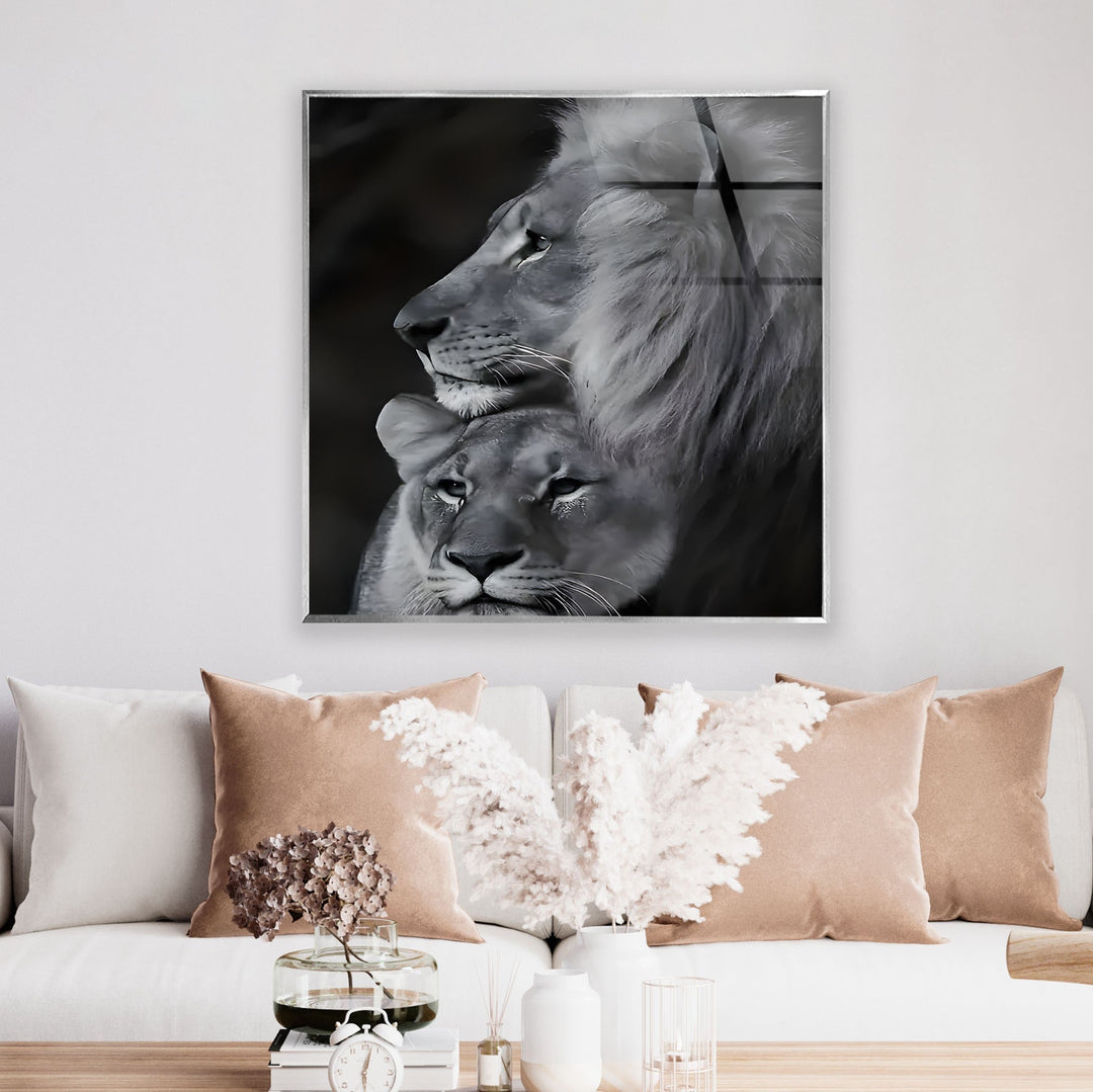 Black & White Lion Family Glass Wall Art glass photo prints, glass picture prints
