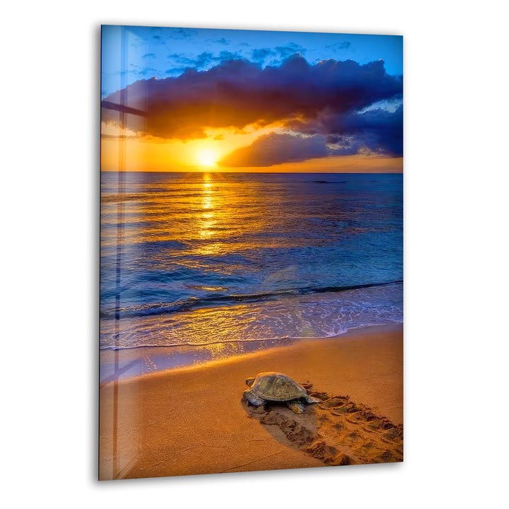 Sunset Sea Turtle Glass Wall Art print picture on glass, Tempered Glass Wall Art