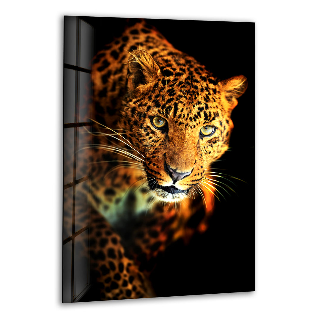 Portrait of a Leopard Glass Wall Art Glass Printing Wall Art, Print photos on glass