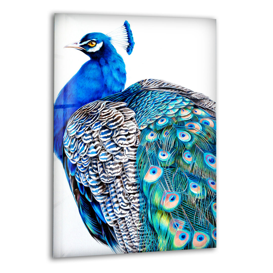 Peacock Portrait Glass Wall Art print on glass, glass printed photos