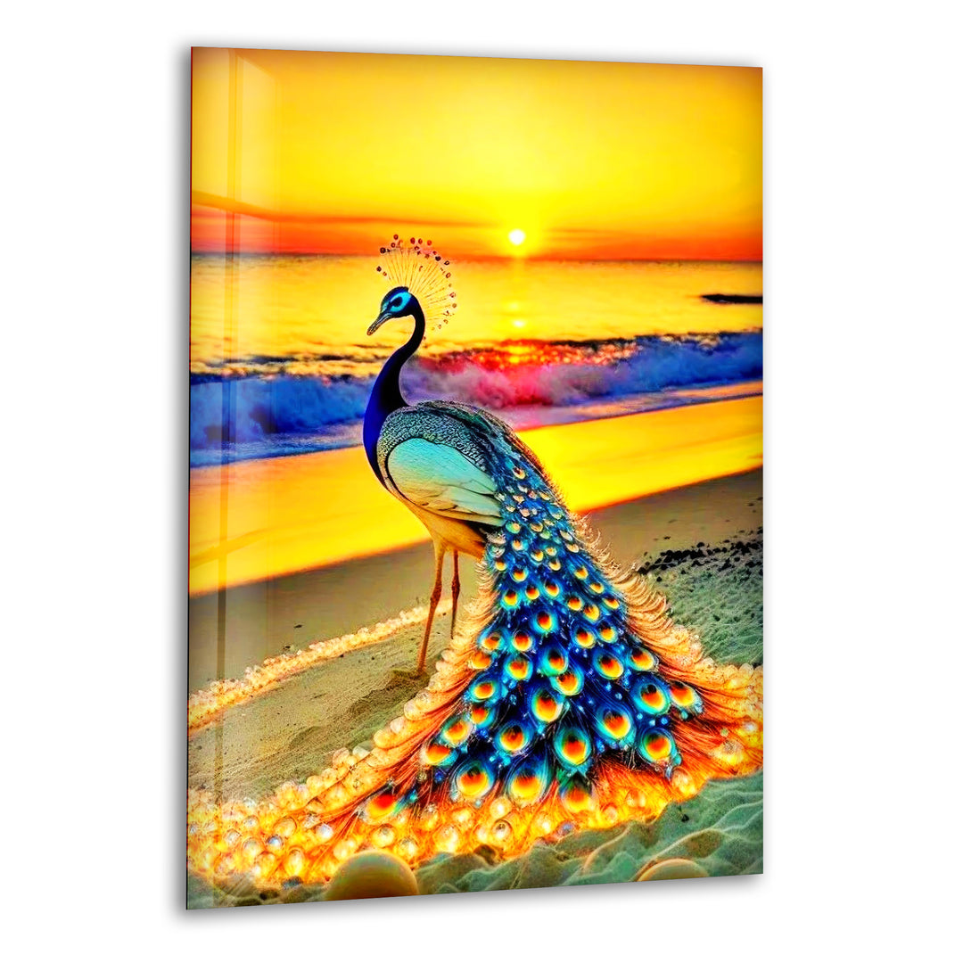 Sunset Peacock Glass Wall Art glass photo prints, glass picture prints