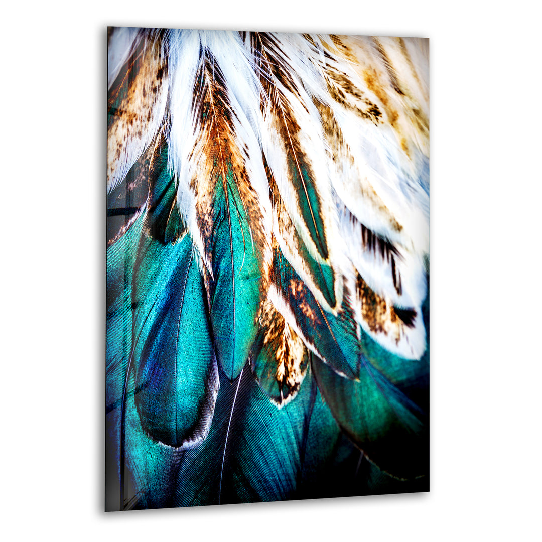 Green Feathers Glass Wall Art, glass image printing, glass prints from photos